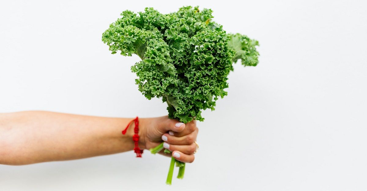 Mind Diät Insights: Missing from Community & Official Sources